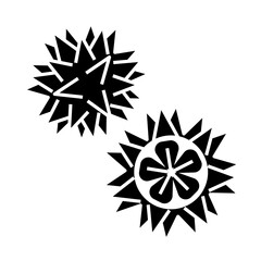 Sea urchin glyph icon vector image.