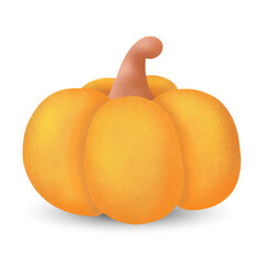 Hand drawn pumpkin . Vector illustration.