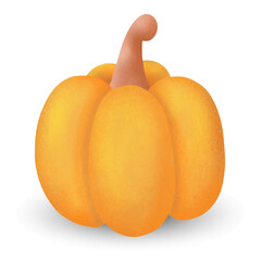 Hand drawn pumpkin . Vector illustration.