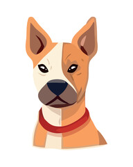 Cute terrier puppy sitting