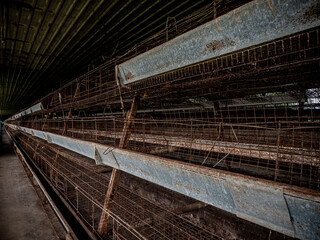 The empty laying cages of poultry houses, old, decayed, abandoned - 621713182