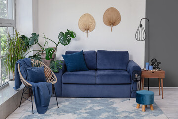 Interior of light living room with cozy blue sofa, armchair and houseplants
