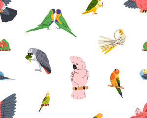 Parrots, exotic seamless pattern. Endless tropical background, jungle birds. Cute parakeet, budgerigar, macaw. Repeating print design. Colored flat graphic vector illustration for textile, wallpaper