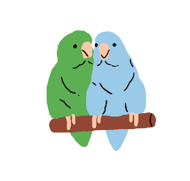 Two Forpus parrots. Cute tropical birds couple. Funny exotic parrotlets sitting on perch, branch together. Birdies friends, family in love. Flat vector illustration isolated on white background