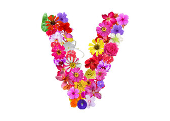 V shape made of various kinds of flowers petals isolated on transparent background, PNG