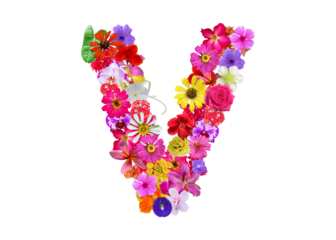 V shape made of various kinds of flowers petals isolated on transparent background, PNG