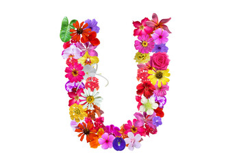 U shape made of various kinds of flowers petals isolated on transparent background, PNG