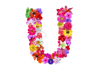 U shape made of various kinds of flowers petals isolated on transparent background, PNG