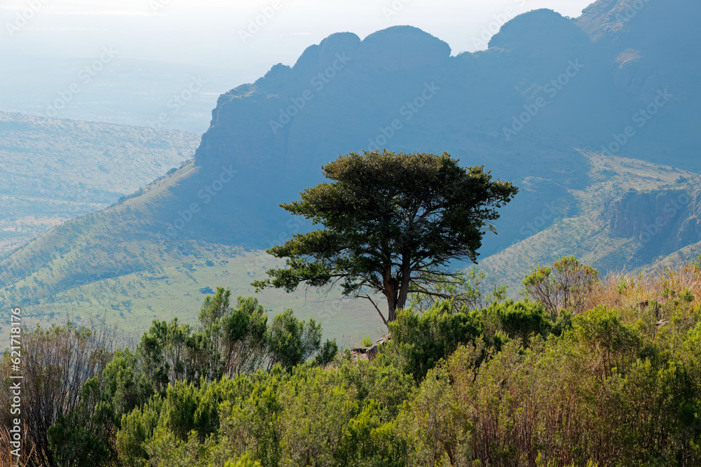 Wall mural Scenic mountain and savannah landscape, Marakele National Park, South Africa.