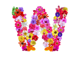 W shape made of various kinds of flowers petals isolated on transparent background, PNG