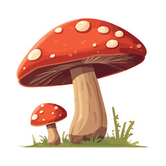 Fresh fly agaric toadstool, a cute edible mushroom
