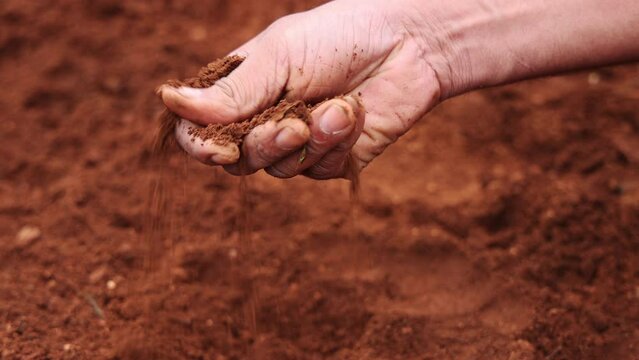 Close up of a male hand testing the agriculture soil - 4K video  