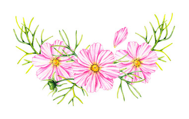 Cosmos flowers bouquet isolated on a white background