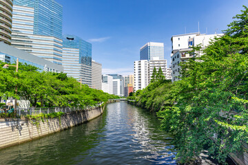目黒川　新緑