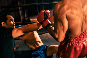 Boxing referee intervene, halting the fight to check fallen competitor. Intense and fierce boxing...