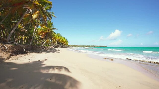 Amazing tropical beach on an island in Dominican Republic with coconut trees and blue sky in the background. Sunny day on the picturesque Caribbean coast. Paradise Palm Island.