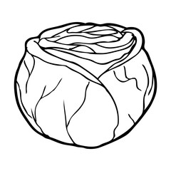 cabbage sketch illustration