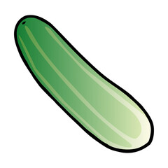 cucumber illustration