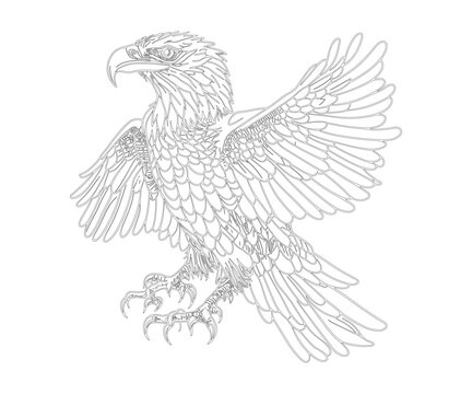 Wildlife Eagle bird hand drawn coloring book vector illustration. zentagle style line art