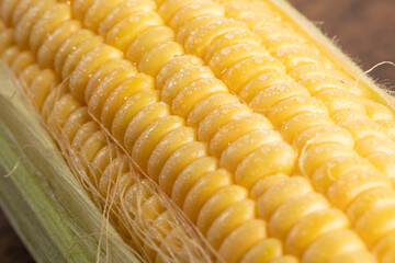 とうもろこし　corn	
