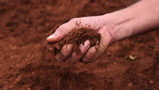 Close up of a male hand testing the agriculture soil - 4K slow motion video  