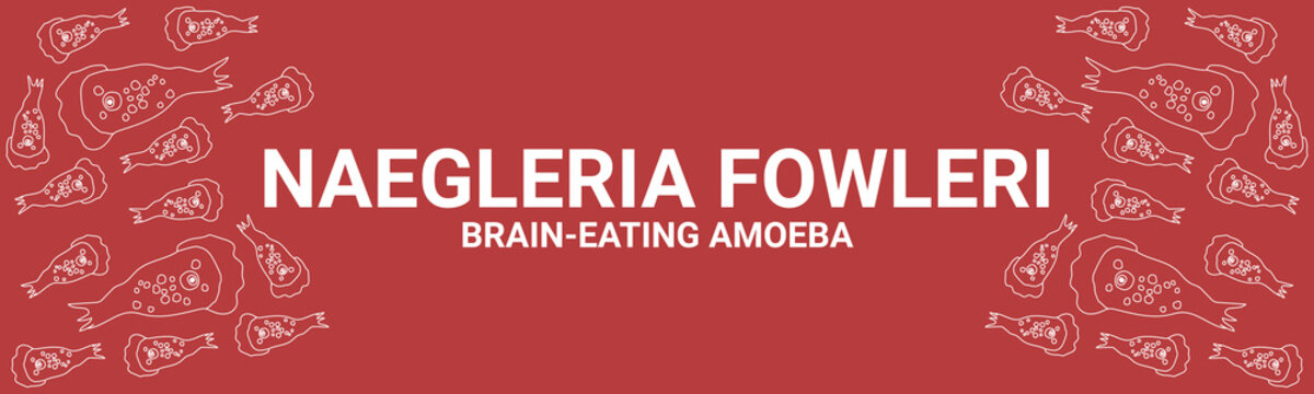 Naegleria fowleri vector red banner for awareness of disease spread, symptoms or precautions, Brain-eating amoeba infection, naegleriasis. trophozoites forms, Nasal passage of Naegleria parasites.