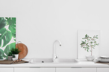 Sink with paintings and plants on counter in kitchen