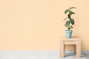 Table and houseplant near beige wall