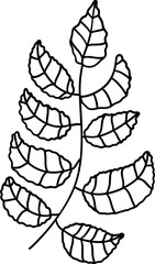 Autumn oak leaves, Autumn or Fall Animal, illustration