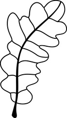 Autumn oak leaves, Autumn or Fall Animal, illustration