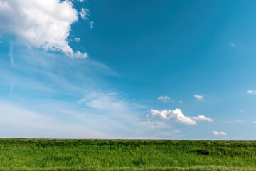 Sky over green meadow with lush grass