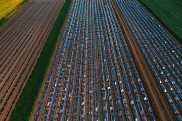 Aerial shot of plastic sheeting tunnel hothouse equipment on watermelon plantation from drone pov