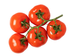 tomato isolated. png file
