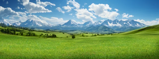 Poster Landscape featuring a green meadow and snowy mountains © karandaev