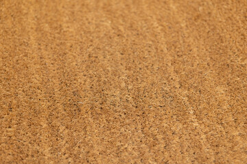 carpet. Background. Textile texture. Selective focus.