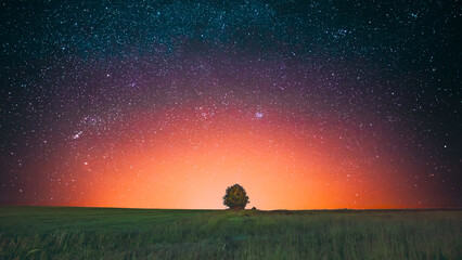 Obraz na płótnie Canvas Amazing Bold Bright Morning Sunrise Evening Sunset Sky Above Lonely Tree In Meadow. Glowing Stars And Wood In Summer Countryside Landscape. Gradient Sky Background. Highlight. Soft Colors.