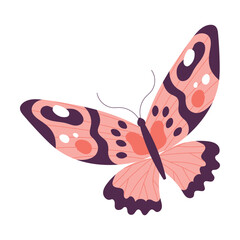 Butterfly Fluttering with Open Wings Closeup Vector Illustration