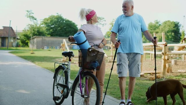 Happy old retired couple spends their free time walking in the park with their dog