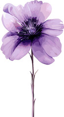 Watercolor Purple Flowers Clipart Png Transparent Element