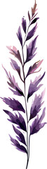 Watercolor Purple Flowers Clipart Png Transparent Element