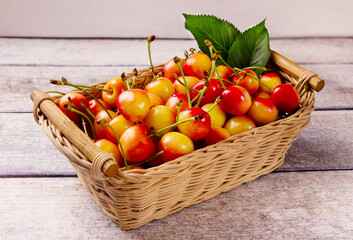 Yellow fresh cherry with leaves in a basket against a gray wooden background. Delicious cherry