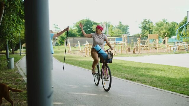 Smiling mature woman rides a bicycle and greets an old man in his 70s walking in the city park. Passerby park greets friend