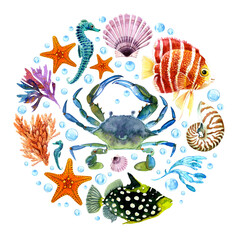 Fototapeta premium A set of objects on a marine, tropical theme round frame. Seahorse, Crab, starfish, shells, corals, algae, fishes. Watercolor hand drawn illustration. For decoration and design. Isolated.