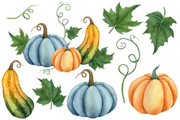 Watercolor set of pumpkins orange, blue and green colors with leaves. Hand drawn illustration vegetable for the design of signage, agribusiness logo, banner with organic food, healthy brand labels.