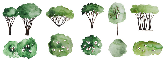 Hand painted watercolor trees, top & front view for landscape design