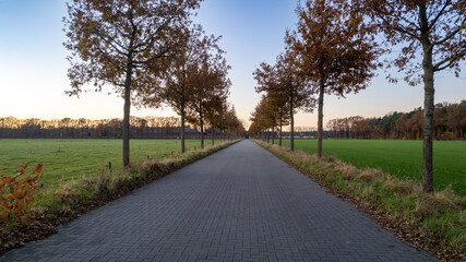 Fototapeta na wymiar An idyllic scene of a tree-lined road nestled between expansive farm fields in a tranquil countryside setting, under the mesmerizing hues of a sunset sky. The image captures the peace and serenity of