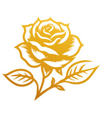 Hand drawn roses. Sketch rose flowers with buds, leaves and stems . golden vintage etching vector botanical isolated on transparent. Illustration of rose petal, sketch botany floral plant, PNG and SVG