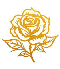 Hand drawn roses. Sketch rose flowers with buds, leaves and stems . golden vintage etching vector botanical isolated on transparent. Illustration of rose petal, sketch botany floral plant, PNG and SVG