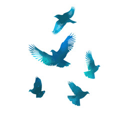 A flock of blue watercolor flying birds. Free birds abstraction Vector illustration