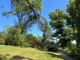 Nordheim Cemetery Park or Park of the Nordheim cemetery - Park des Nordheimer Friedhofs oder Friedhofspark Nordheim - Zürich (Zurich or Zuerich), Switzerland (Schweiz)